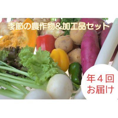 ふるさと納税 宗像市 【定期便/年4回 】有機肥料で育った季節の農産物&amp;加工品のセット【アグリCATS】_HB0115