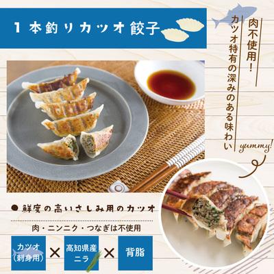 ふるさと納税 四万十市 手づくり一本釣りカツオ餃子(8ケ入×8パック)たれ付き　にんにく不使用 R5-1023 |  | 01