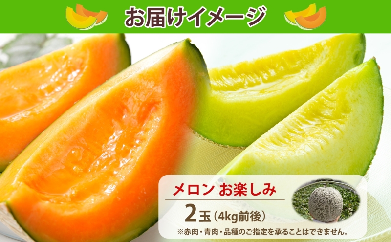 【2026年発送 先行予約】のざわ農園 日高 赤肉メロン 2玉 めろん メロン 赤い 青い 甘い 夏 フルーツ 果実 ルピアレッド 糖度 甘み 濃厚 肥料 贈り物 お中元 お歳暮 常温 冷蔵庫 家族 