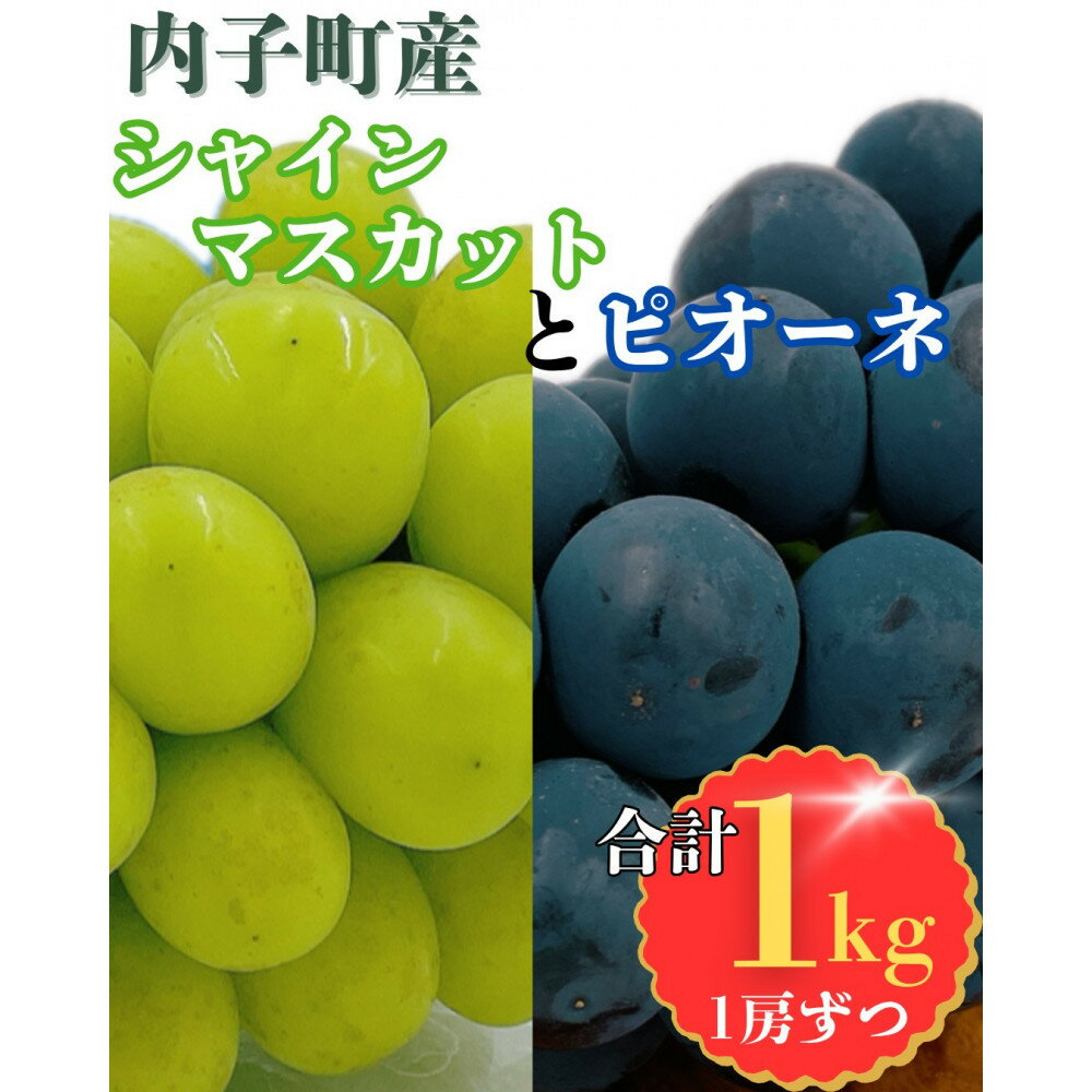 【ふるさと納税】内子町産　シャインマスカット・ピオーネのセット 1.0kg