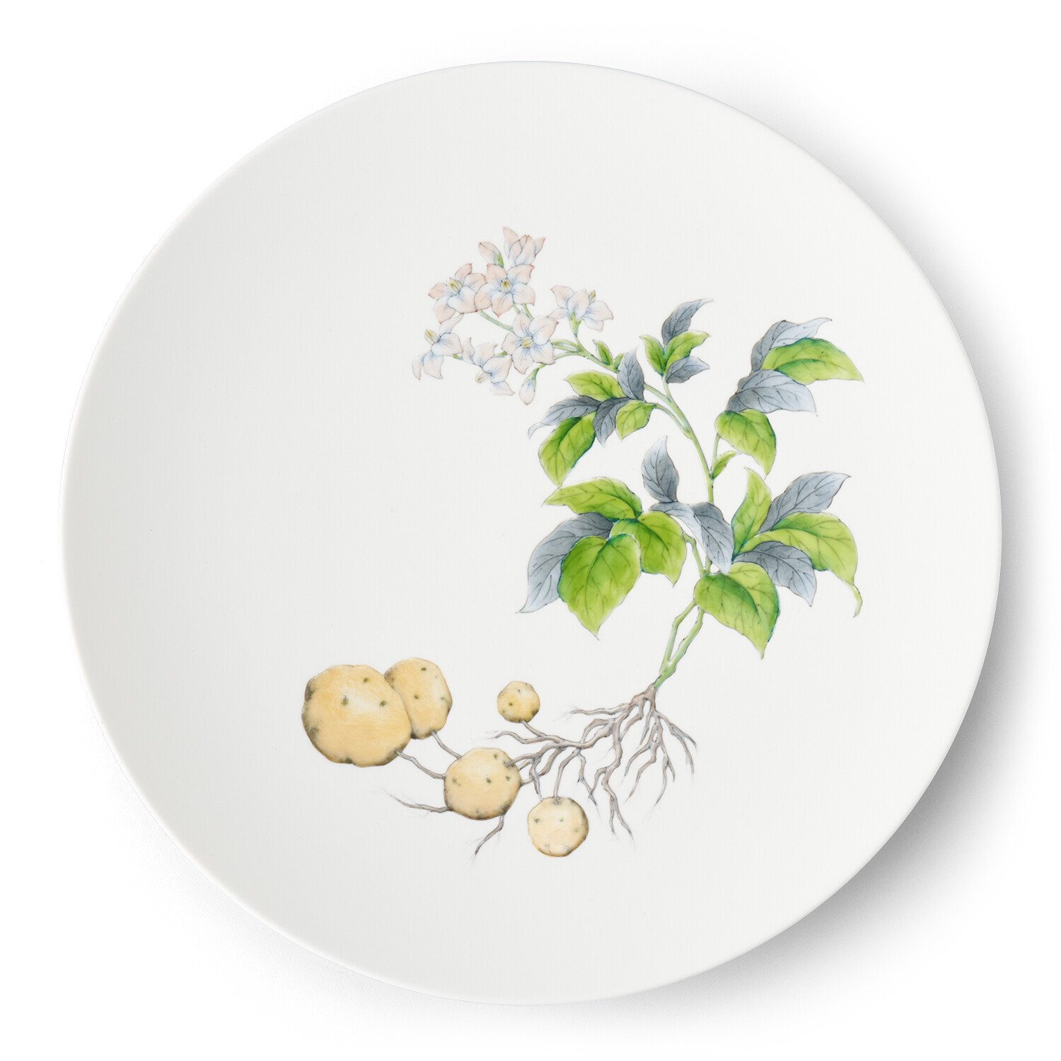 
【伊万里焼】プレート 平皿 Potatoes φ29cm Plate H833
