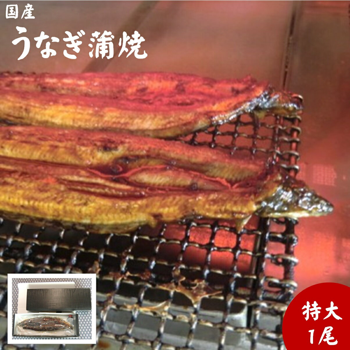 【ふるさと納税】うなぎ 蒲焼 特大 1尾入 朝開き タレ付 有限会社安藤水産 お取り寄せ 鰻 ウナギ グルメ 鳥取県 米子市