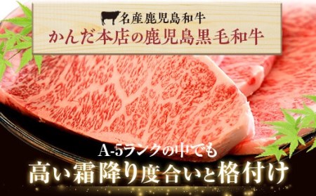 HS-104 鹿児島県産黒毛和牛ｻｰﾛｲﾝｽﾃｰｷ･すき焼きBｾｯﾄ 名産鹿児島和牛かんだ本店