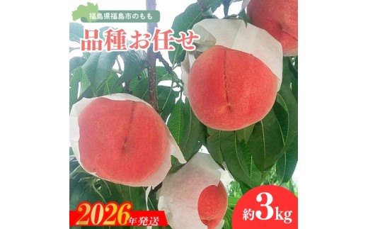 No.3113 福島の桃 約3kg品種・玉数おまかせ【2026年発送　先行予約】