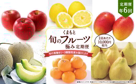 【年6回定期便】くまもと 旬のフルーツ極み 定期便 ②
