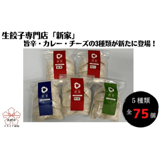 【ふるさと納税】 生餃子専門店「新家」 生餃子 創作 ぎょうざ 5種類 食べくらべ セット 計75個 男前 しそ 旨辛 チーズ カレー ギョーザ 冷凍餃子 冷食 冷凍食品 惣菜 おかず 中華 ゼロックス 岐阜県 大垣市