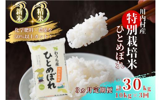 【定期便3回】 特別栽培米 ひとめぼれ 10kg×3ヵ月 （令和7年度かわうち産）