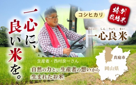 ＜全3回定期便＞ 真庭市産コシヒカリ 米ぬか 牡蠣栽培米 『 一心良米 』 玄米 5kg×3回 【令和8年産】 / お米 いっしんりょうまい 岡山県 こしひかり 人気 ブランド 2026年産 新米 【