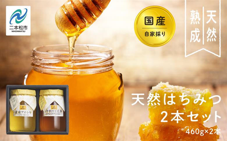 自家採り国産天然はちみつ 2本セット(460g×2)【渡辺養蜂場】
