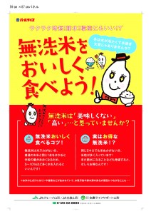 【令和6年産米】JAおきたま「無洗米雪若丸」5kg_A169(R6)