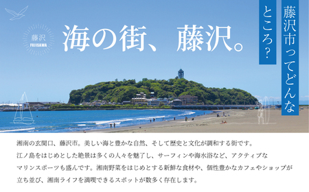 水陸両用モーターボート シーレッグス 操船体験 2名様分 体験型 SEALEGS利用券 観光 トラベル 関東 biid株式会社 神奈川 湘南 藤沢