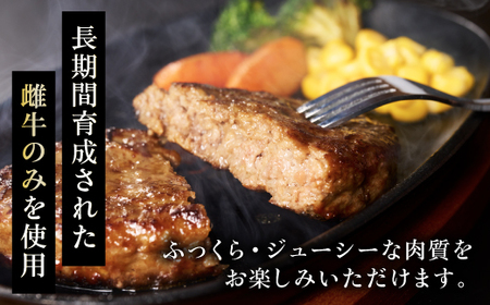 【ふるさと納税】黒毛和牛 ハンバーグ 北海道産 150g × 6個 牛肉 北海道 国産 赤身肉 冷凍 お弁当 詰め合わせ 自宅用 ギフト 贈り物 お取り寄せ 送料無料 十勝 士幌町【O02】