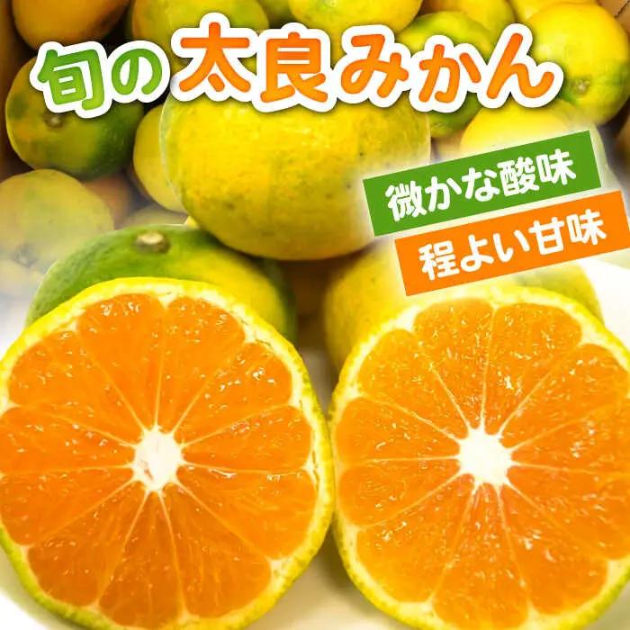 【2026年9月中旬以降発送】早熟みかん 計3kg（2.6kg＋400g傷み保証分） / みかん 柑橘 / 佐賀県 / 山本農園 [41ATBT001]