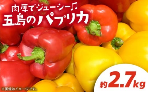【肉厚パプリカ】五島のパプリカ約2.7kg 五島市/HPIファーム [PCP003] 野菜 やさい 国産 新鮮 緑黄色野菜 産地直送 とれたて