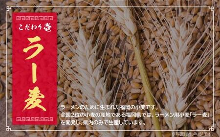 P56-01 博多とんこつラーメン5食（ラー麦使用）