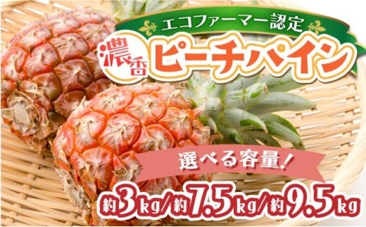 
                  ＜選べる容量＞濃香ピーチパイン 約3kg～9.5kg 【E】★絶品★　2026年 先行予約 栽培期間中 農薬不使用 西表島 濃香 初エコファーマー認定【036-a002/036-a005/036-a008】
                
