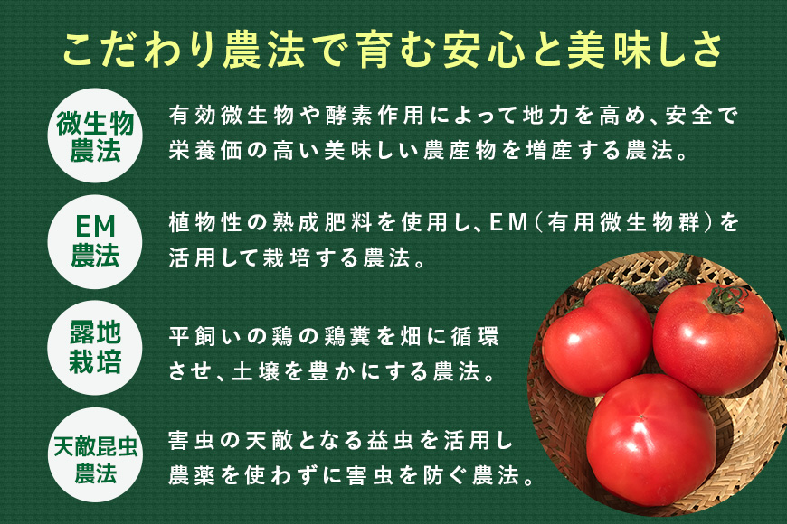 『身体が喜ぶ野菜』詰め合わせ ( おまかせ 10～12品) 野菜 詰合せ 詰め合わせセット お任せ 季節の野菜 セット 栽培期間中農薬不使用 有機栽培 微生物農法 EM農法 露地栽培 産地直送 新鮮 