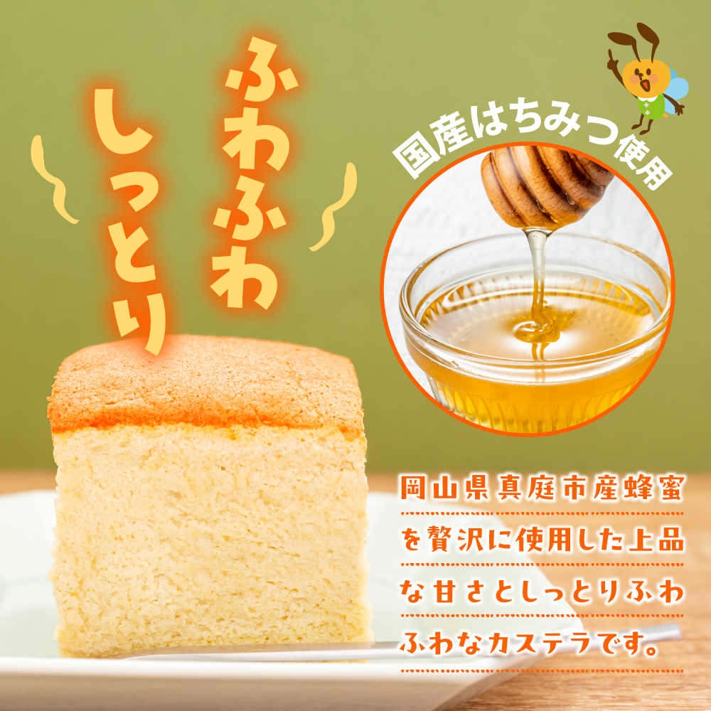 立会川りょうくんカステラ 10個入り