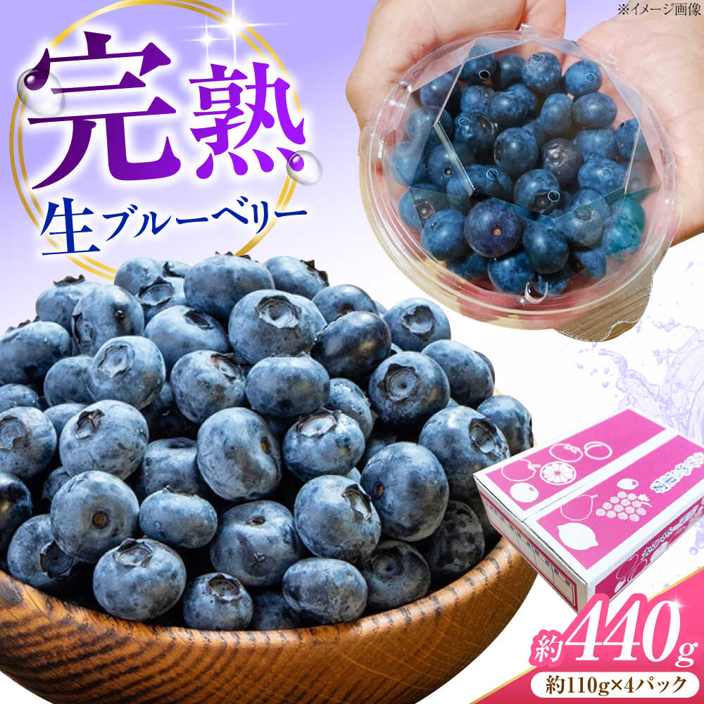 【ふるさと納税】ブルーベリー 生ブルーベリー110g×4パック【7月上旬から9月下旬まで順次発送】 / 冷蔵 フルーツ 果物 ブルーベリー 生 ジャム スムージー ドリンク 人気 おすすめ フルーツギフト 手摘み 国産 甘酸っぱい / 愛媛県砥部町/西岡さん家のみかん園[BJBG003]