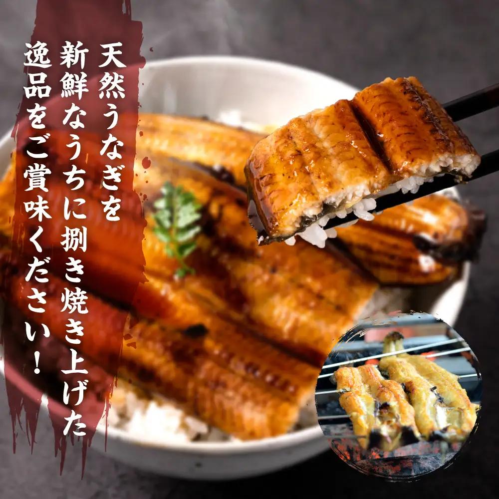 うなぎ 熊本県八代市産 天然うなぎ 白焼 (大) 2尾 合計450g前後 蒲焼のたれ付き うなぎ