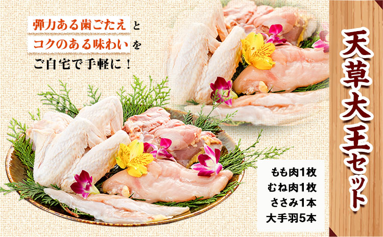 熊本県産 天草大王セット《60日以内に出荷予定(土日祝除く)》 もも肉 むね肉 ささみ 大手羽 パック  鶏肉---sn_f501daio_60d_21_11000_8p---st-p