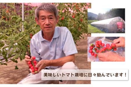 数量限定!!うす皮フルーツミニトマト「華の妖精」1kg