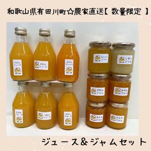 数量限定！有田みかんに産地から届く 店主にお任せ 農家直送の無添加の柑橘ジュース＆ジャムセット