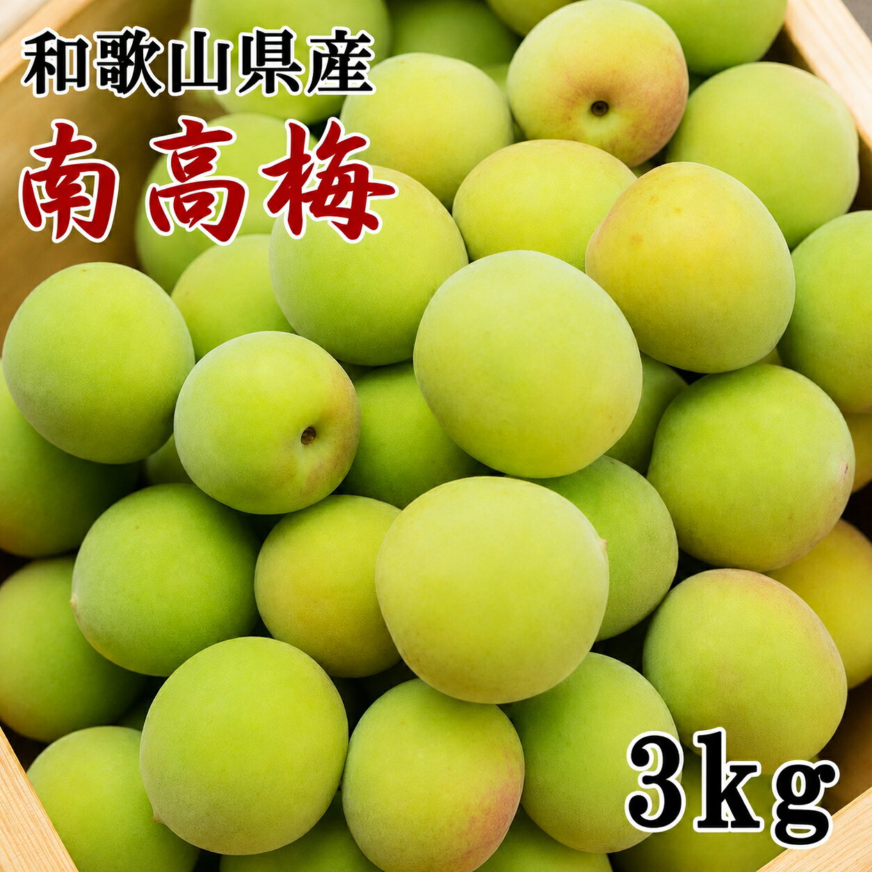 【ふるさと納税】【和歌山名産】 南高梅 3kg （サイズ混合） / フルーツ 果物 くだもの 食品 人気 おすすめ 送料無料 ※2027年6月上旬～6月下旬頃順次発送 ※北海道・沖縄・離島への配送不可