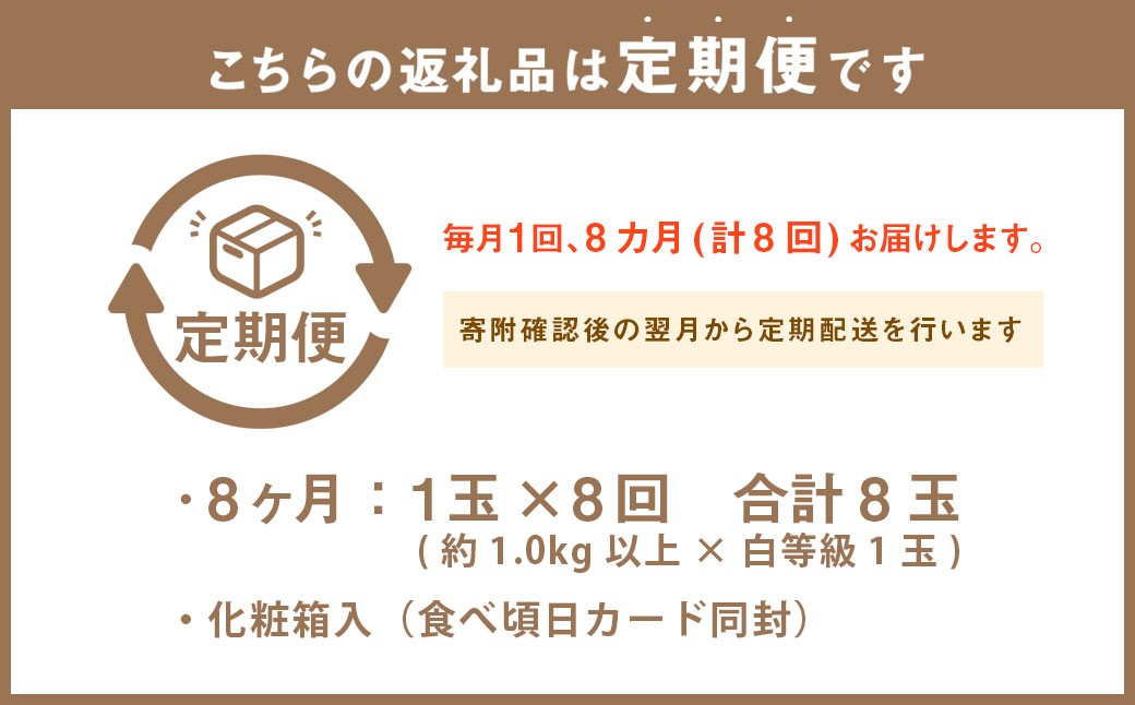  静岡県産 高級 アローマメロン