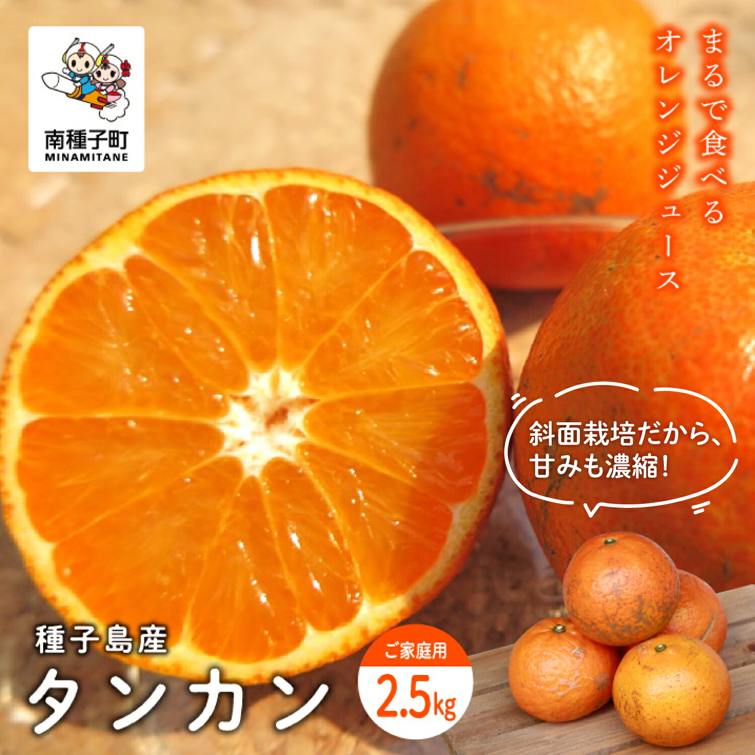 【ふるさと納税】《 先行予約 》訳あり 種子島産タンカン 約 2.5kg 家庭用 タンカン たんかん オレンジ 果物 フルーツ 食品 グルメ お取り寄せ お正月 人気 おすすめ ギフト 返礼品 南種子町 鹿児島 かごしま 《 2027年2月中旬〜3月中旬頃順次発送 》【南種子町果樹部会】