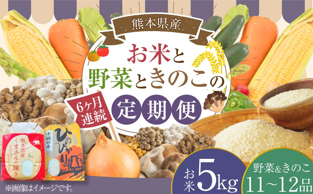 
            【6ヶ月連続定期便】 【令和7年度産】  熊本県（七城）産のお米と熊本県産の野菜ときのこ お米（5kg）・野菜＆きのこ（11～12品） 精米 単一原料米 ひのひかり くまさんの輝き ジャガイモ ニンジン シイタケ  【2026年1月上旬発送開始】
          