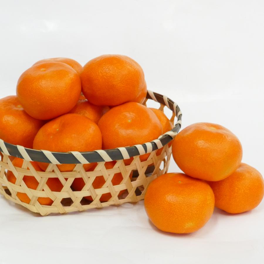 小原紅早生みかん5kg(S～Lサイズ)