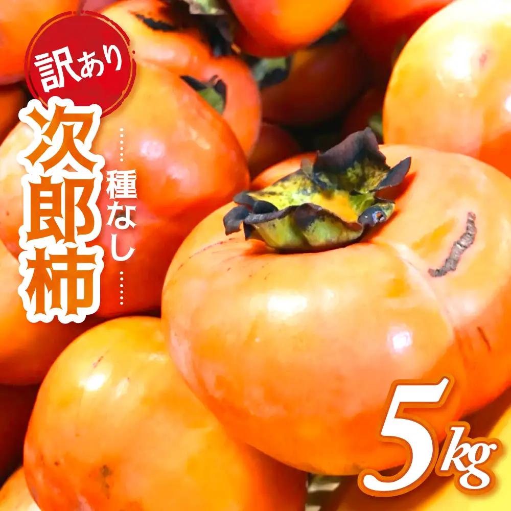 【令和8年産柿/先行予約】訳あり 5kg 多気町発祥 前川次郎 柿