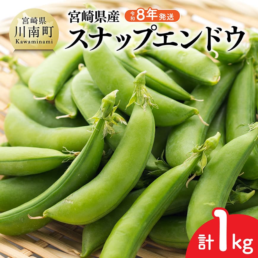 【令和8年発送】宮崎県産　スナップエンドウ1.0kg 野菜 宮崎県産 川南町産 野菜 産地直送 新鮮 数量限定