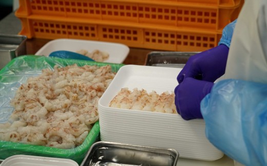 【小分けで使いやすい】 アカエビ剥き身 1kg (200g×5パック) 【 えび エビ あかえび 魚介類 冷凍 小分け 刺身 寿司 料理 】 RT3054