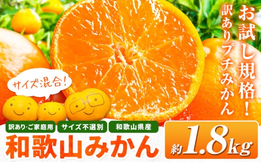 濃厚小玉みかん(ピンポン玉くらいの大きさです) 訳あり プチみかん 和歌山・日高川育ちの 訳あり   約1.8kg 和歌山県 日高川町 柑橘類 柑橘 果物 フルーツ ミカン 訳ありみかん 家庭用 お試し お取り寄せフルーツ みかん 小玉みかん プチみかん 小粒みかん 小さめみかん