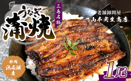 【2026年2月～順次発送】《数量限定》うなぎ蒲焼 1人前 1尾 冷蔵 三島名物 老舗 鰻問屋 うなぎ 蒲焼き 鰻 ウナギ 真空パック 浜名湖 土用丑の日 贈答用 惣菜 うな重 うな丼 伝統 贈り物 鰻料理 ウナギの蒲焼 和食 浜名湖うなぎ 山本実生商店 三島市 静岡県