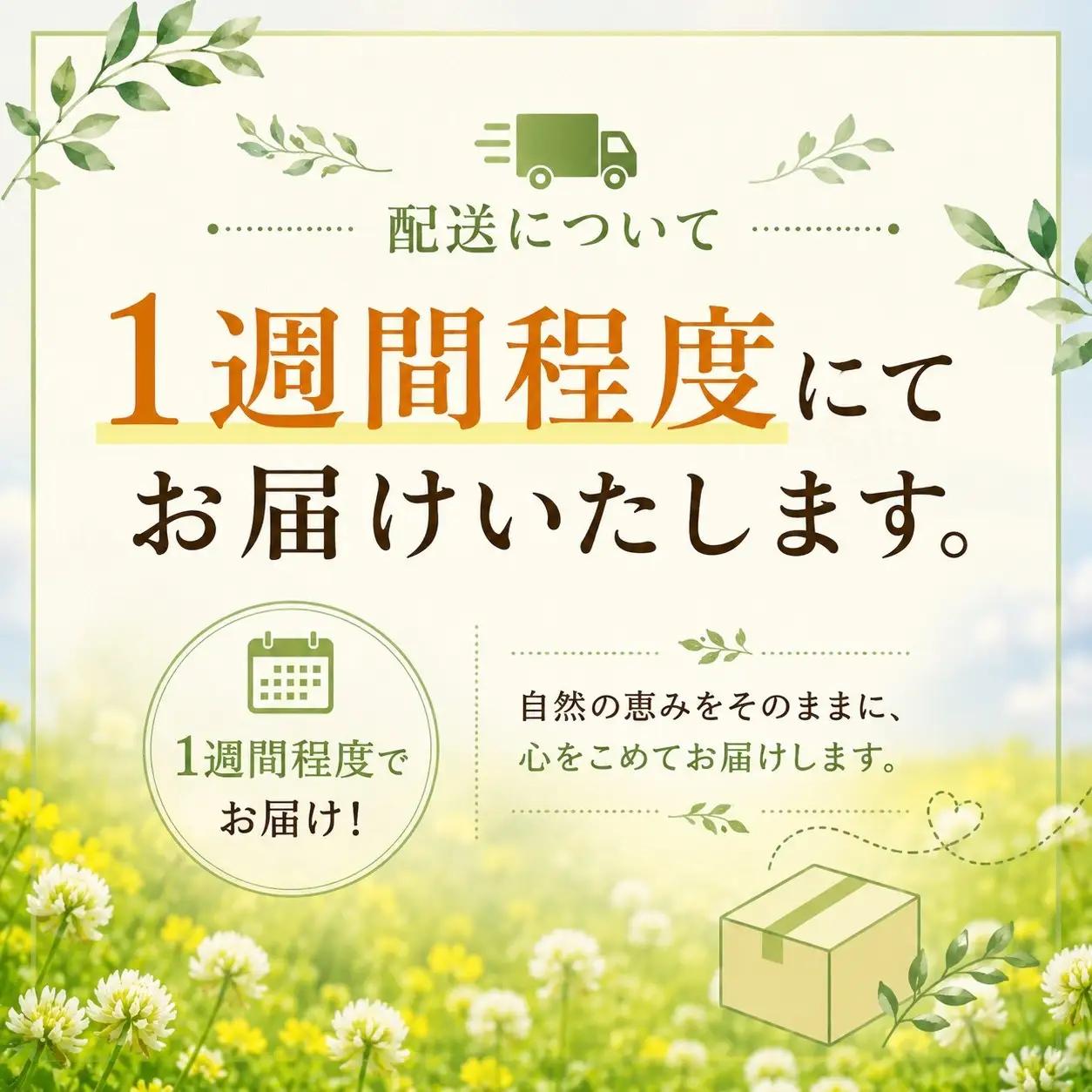北海道標茶町産　しろつめ草の蜂蜜 （300g×2本）　|  はちみつ はちみつ