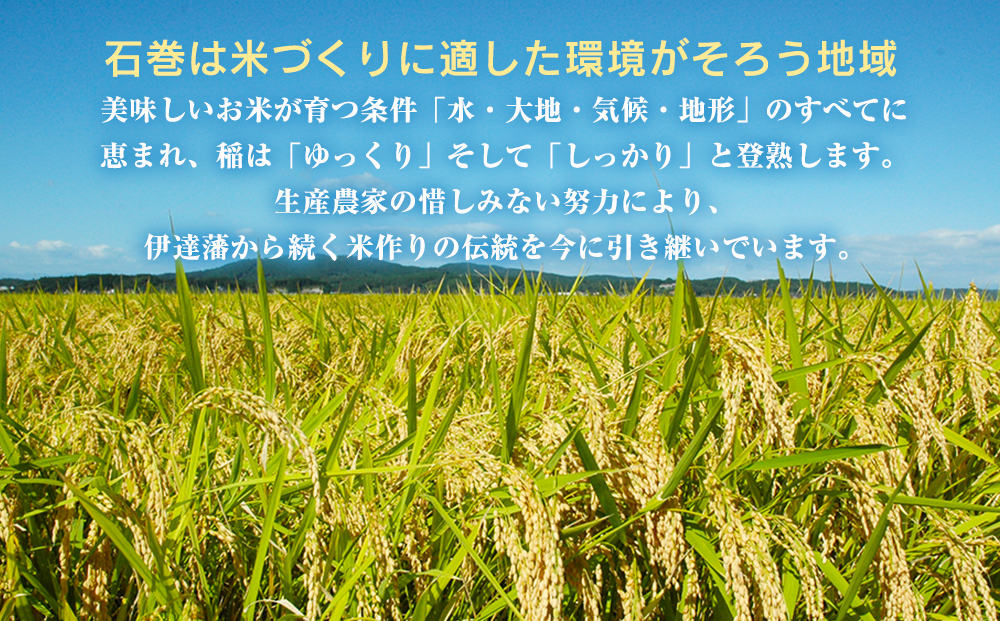 ＜定期便3回・毎月発送＞ 令和7年 だて正夢 いしのまき産米