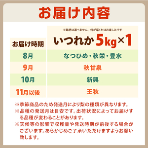 DS-26　大山の自然が育てた季節の梨 5kg