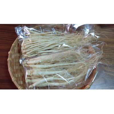 ふるさと納税 長野県 生高麗人参 2年生 太物 約200g【 栽培期間中低農薬 】信州産 朝鮮人参 国産 |  | 01