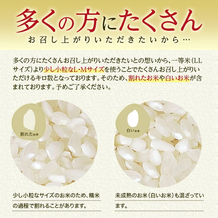 無洗米 こつぶ姫 5kg×2袋 計10kg 12月上旬