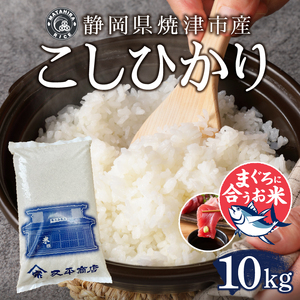 a25-049　マグロによく合うお米 コシヒカリ 白米10kg（5kg×2袋）