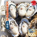 【ふるさと納税】カキ むき身 1年貝 600g（200g無水パック×3） 佐呂間産 【 ふるさと納税 人気 おすすめ ランキング 牡蠣 カキ かき 貝 牡蠣貝 むき身 ギフト 贈答 小分け 冷蔵 海鮮 オホーツク 北海道 佐呂間町 送料無料 】 SRMA014