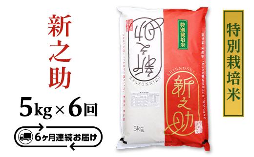 
                  B7-8ST056【6ヶ月連続お届け】長岡産新之助5kg（特別栽培米）
                