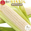 【ふるさと納税】【先行予約】【旭川近郊産】白いとうもろこし（ホワイトショコラ他）4kg＜11-13本＞(2025年8月上旬発送開始予定)_00093 | とうもろこし コーン 白とうもろこし スイートコーン ホワイトショコラ 甘い 旬 夏野菜 野菜 お取り寄せ 旭川市 北海道 送料無料