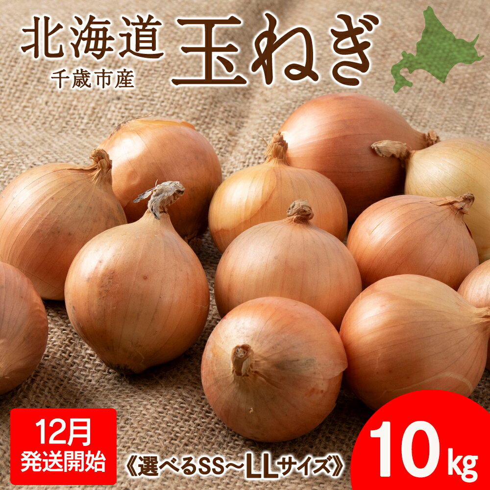 【ふるさと納税】 【2025年12月発送開始】玉ねぎ 10kg 選べるSS～LLサイズ 北海道 千歳市産 甘い たまねぎ 野菜 冷蔵 タマネギ 【假屋フードブリッジ】玉ねぎ たまねぎ タマネギ 玉葱 野菜 北海道ふるさと納税 千歳市 【北海道千歳市】ギフト ふるさと納税