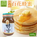 【ふるさと納税】国産 百花蜂蜜 600g 貴重 蜂蜜 非加熱 上品 天然ブレンド デザート 濃厚 スイーツ ホットケーキ パンケーキ ヨーグルト 紅茶 贈り物 プレゼント お取り寄せ 鹿児島県産 南九州市 送料無料