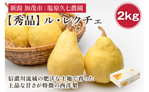 【2026年先行予約】新潟特産 幻の洋梨ル・レクチェ 秀品 約2kg （5～6玉） 《11月下旬～順次発送》 果物 フルーツギフト 冬の味覚 産地直送 加茂市 塩原久七農園