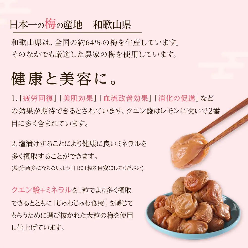 無選別 和歌山の完熟南高梅 味が染み込んだ梅干し はちみつ味 500g 塩分10％ [定期便 毎月発送・全6回]